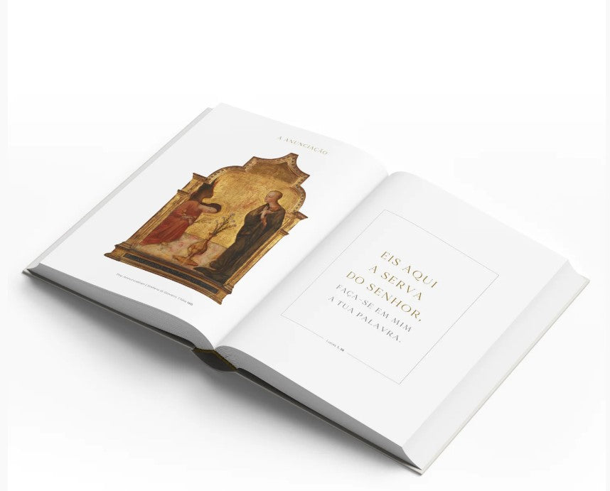 O EVANGELHO DE JESUS EXPLICADO - COMENTÁRIOS, MAPAS, FOTOGRAFIAS E ILUSTRAÇÕES