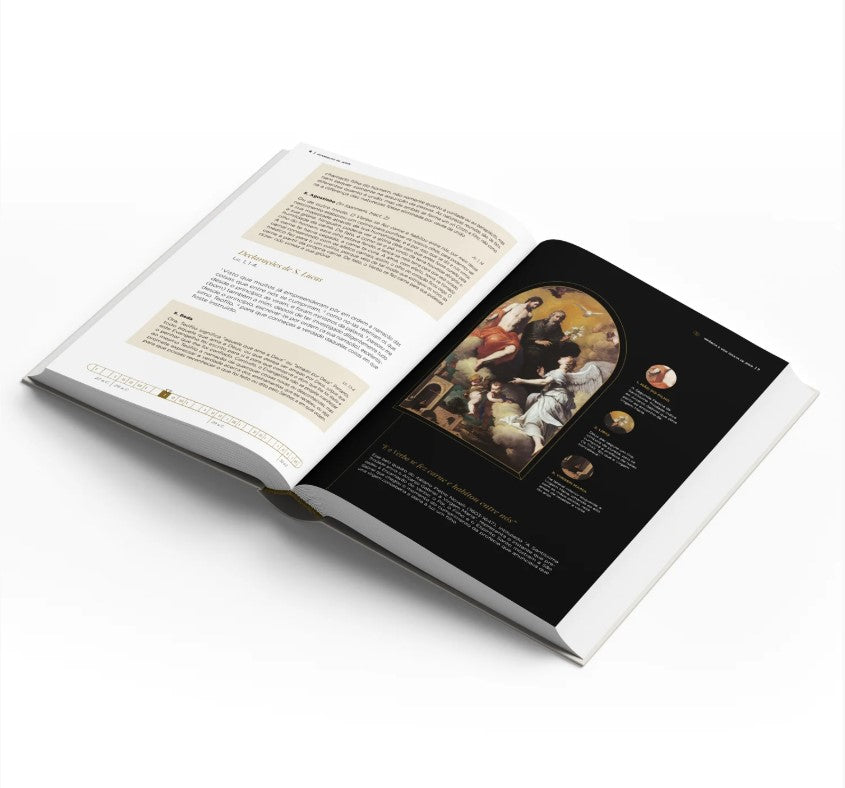 O EVANGELHO DE JESUS EXPLICADO - COMENTÁRIOS, MAPAS, FOTOGRAFIAS E ILUSTRAÇÕES